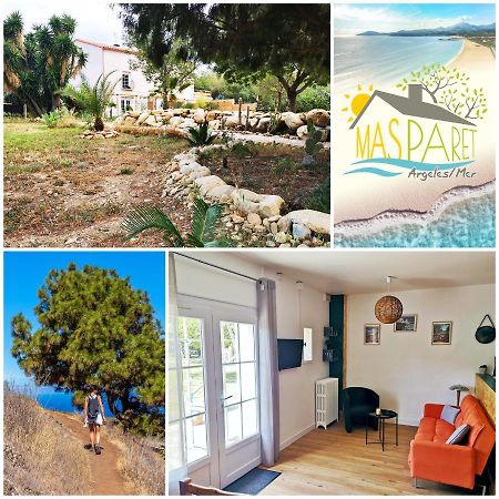 Mas Paret Studio Plein Sud - Parc 1 Ha Au Calme Argelès-sur-Mer Zewnętrze zdjęcie