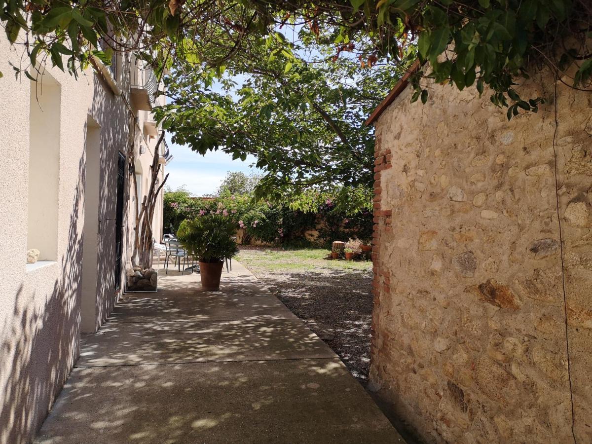 Mas Paret Studio Plein Sud - Parc 1 Ha Au Calme Argelès-sur-Mer Zewnętrze zdjęcie